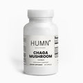 Chaga Mushroom