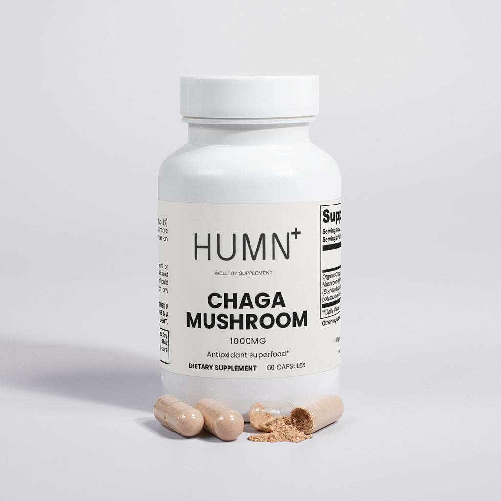 Chaga Mushroom