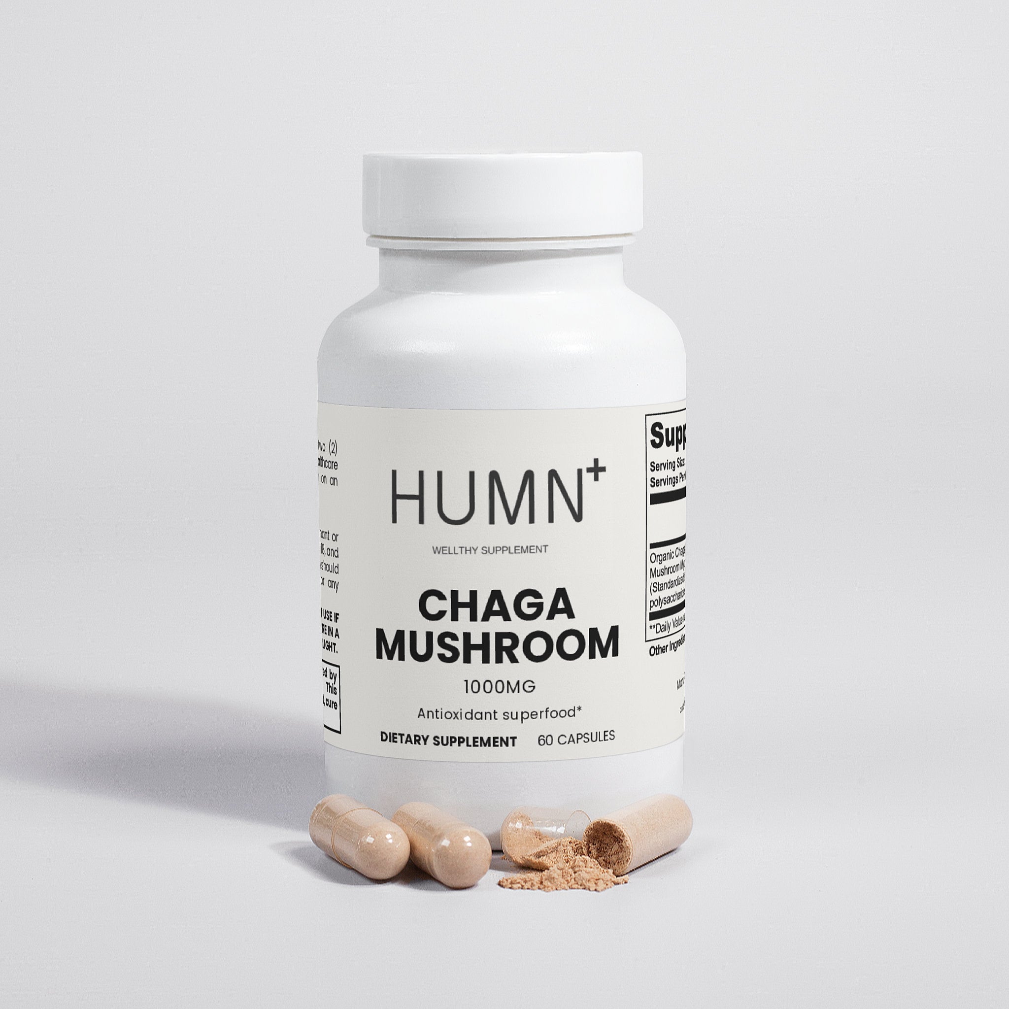 Chaga Mushroom