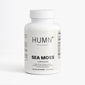 Sea Moss